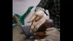 Play Hot Indian Threesome with Cuckold and Stepmother Handjob